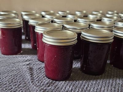 Chokecherry Jelly 8oz $5ea.