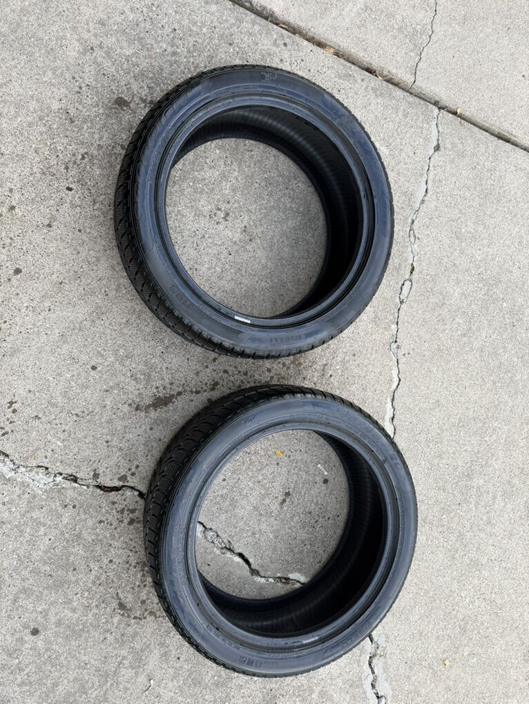 Pirelli Scorpion Winter 245/45R20 Tesla Tires