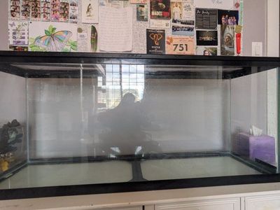 55-Gallon Tank / Aquarium / Reptile Enclosure