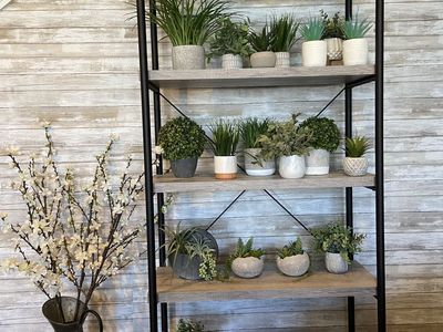 Home Decor - Large Modern Farmhouse Decor Bundle (Plants, Signs, Accents)