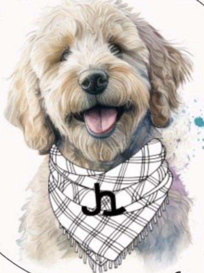 Standard F1 Female Goldendoodle