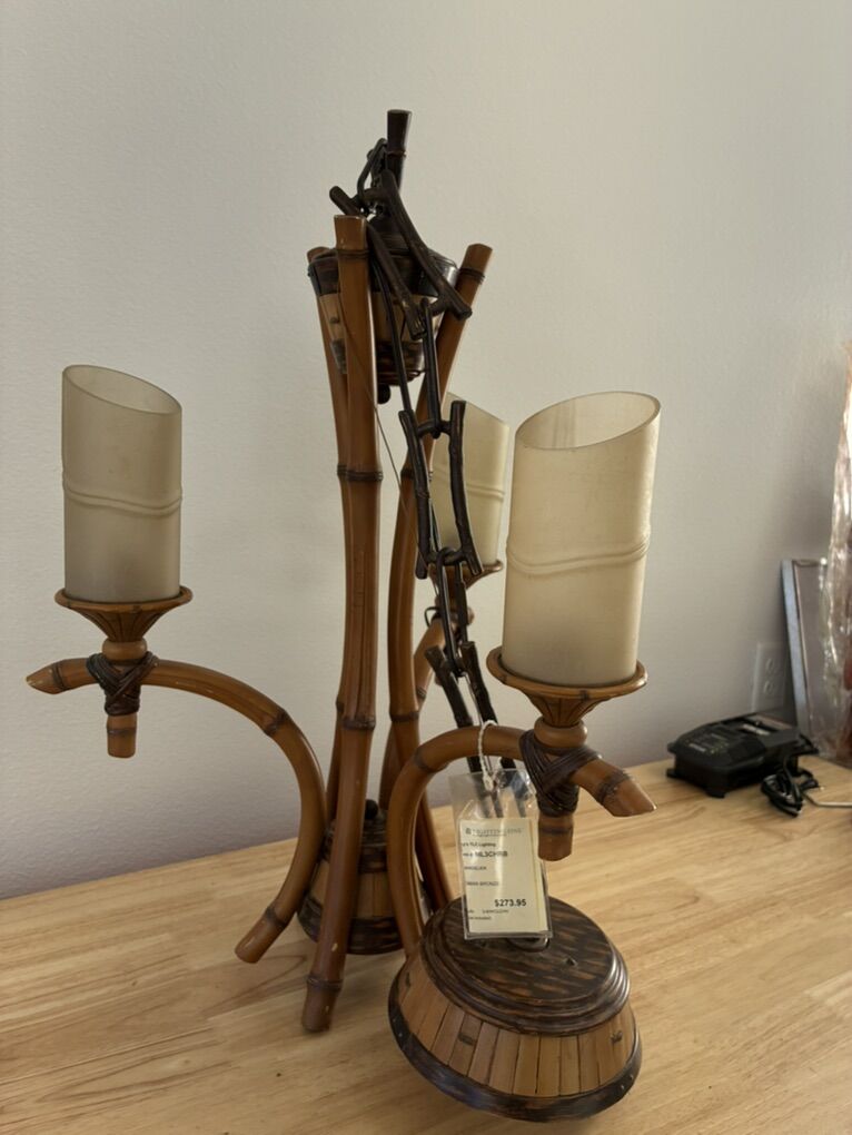 New, never used. Unique Hanging  Light Fixture