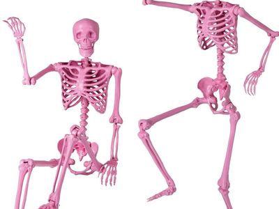 Halloween 5' PINK SKELETON SKELLY Skellie Home Decor Decoration Yard Prop