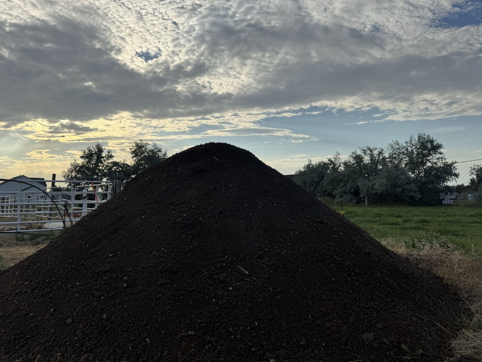 Screened Top Soil