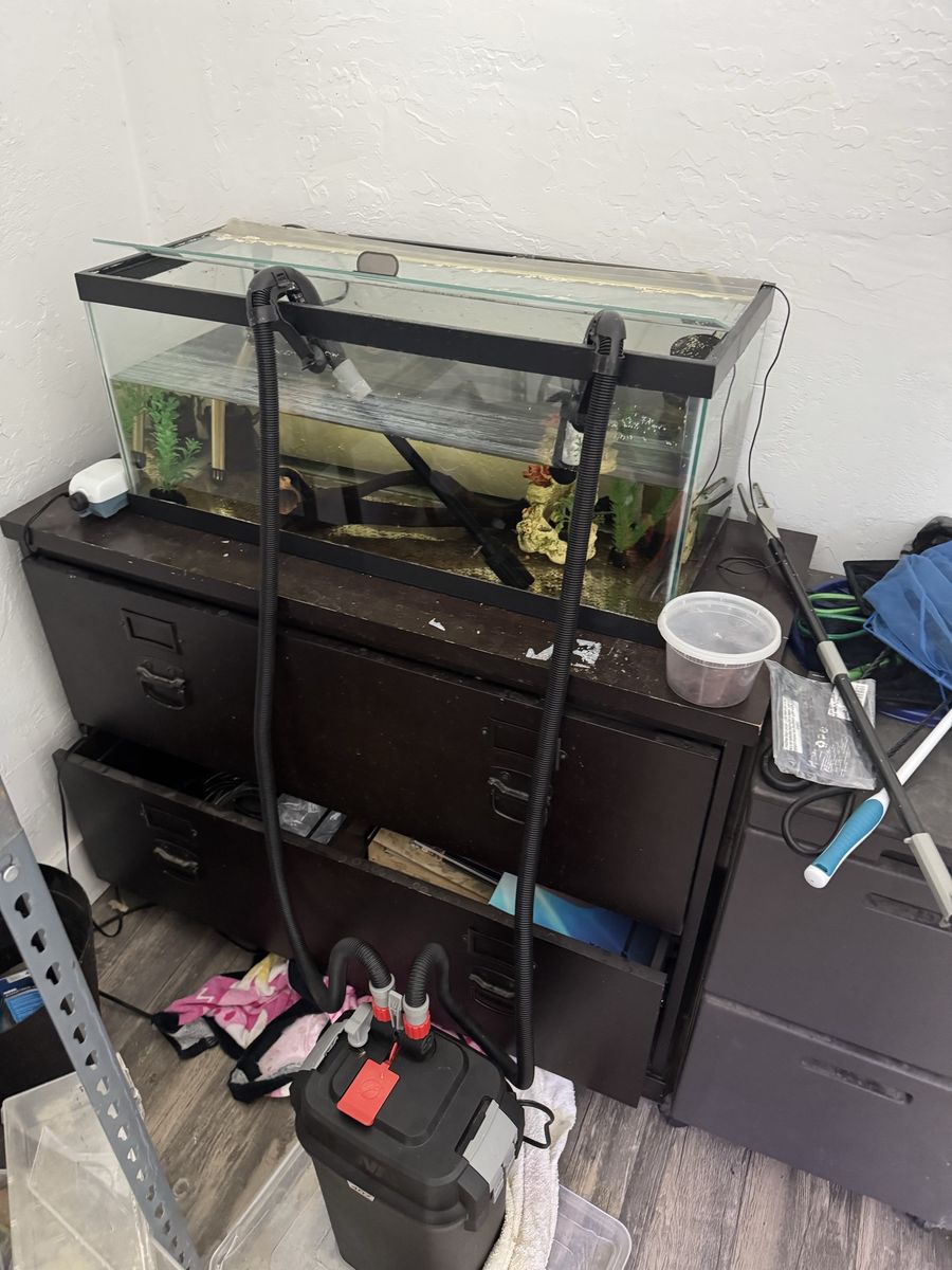 20 long heater lid and a 407 filter 120$