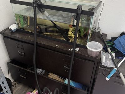 20 long heater lid and a 407 filter 120$