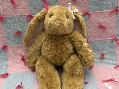 Your Favorite Vintage Bunny Build-A-Bear. This sweet girl is looking for a loving home. DM me with questions or offers.