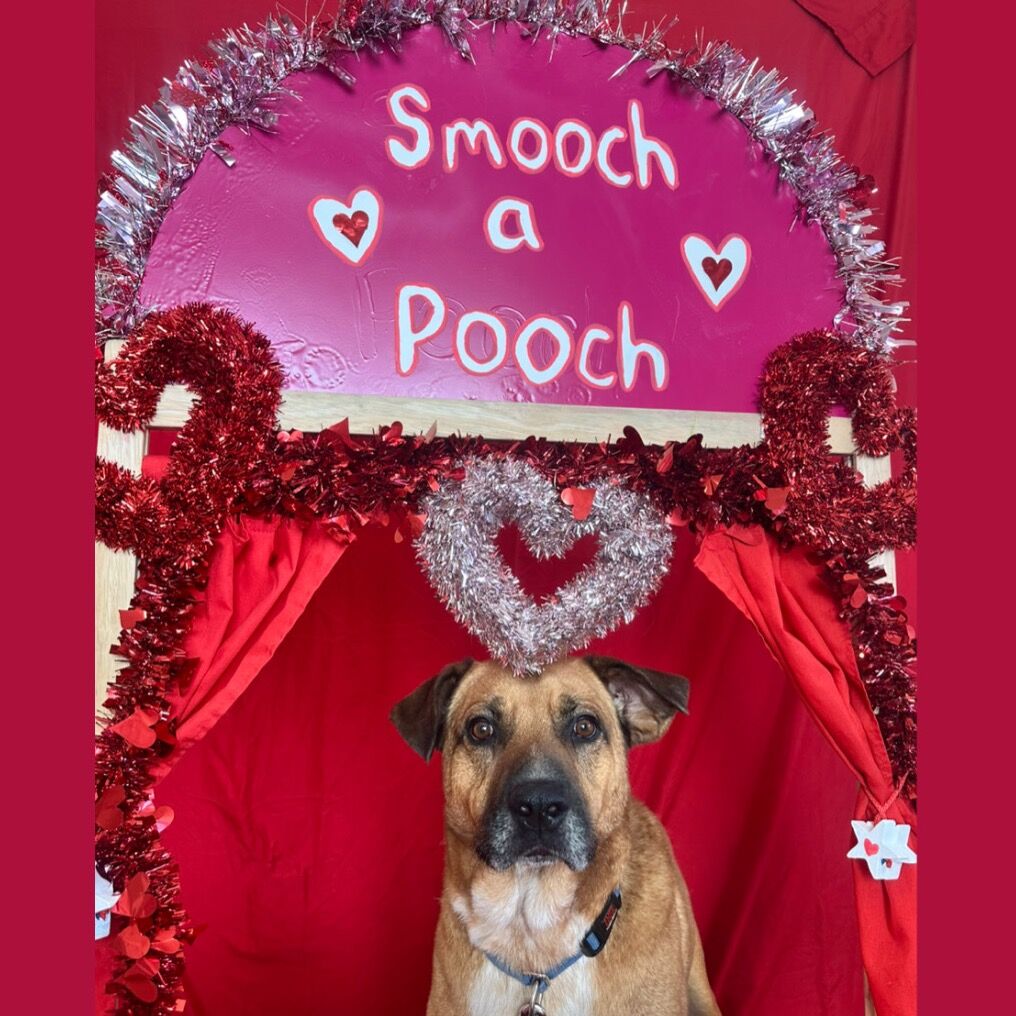 Hello my name is Freedom