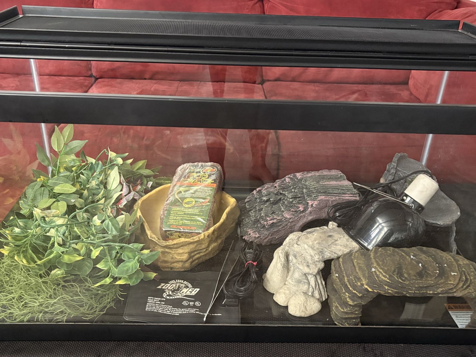 Main image 5