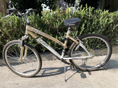 Schwinn Skyliner