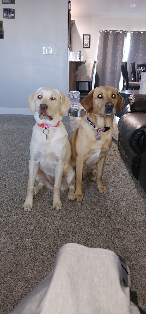 Main image 6
