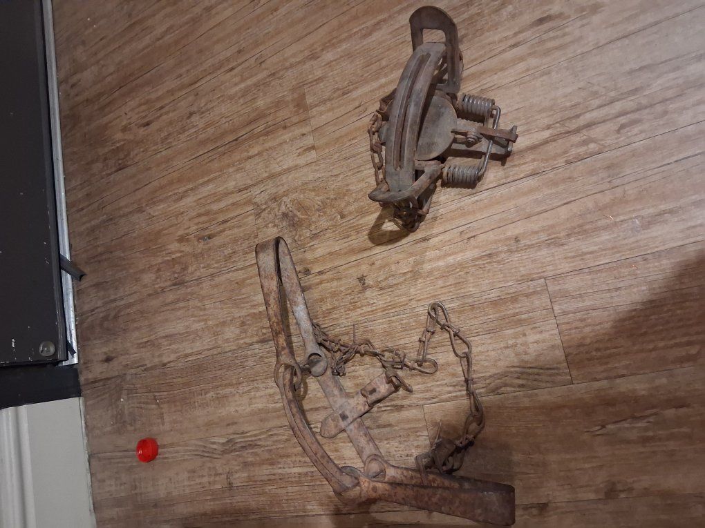 Antique bear trap and small game trap
