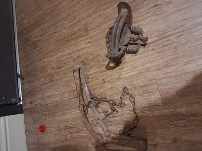 Antique bear trap and small game trap