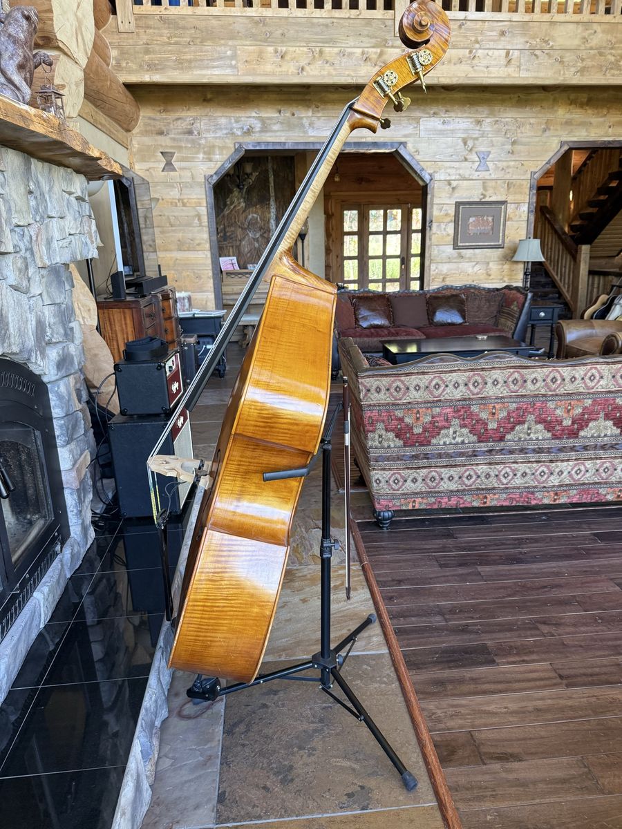 Main image 5