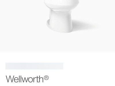 Kohler Wellworth Elongated Toilet Bowl K-4198-0