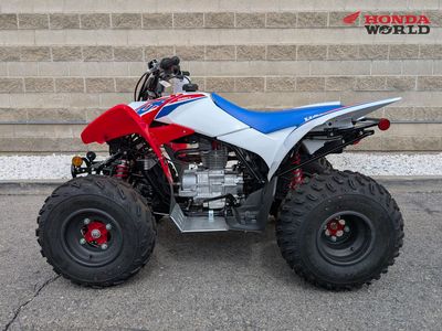 2026 Honda TRX250X
