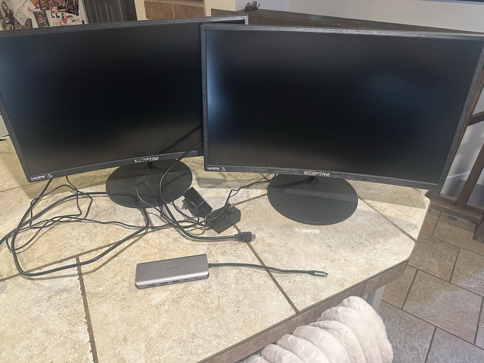 Sceptre 24-inch HDMI LED Monitor (x2) with ABWANYZ USB-C Hub