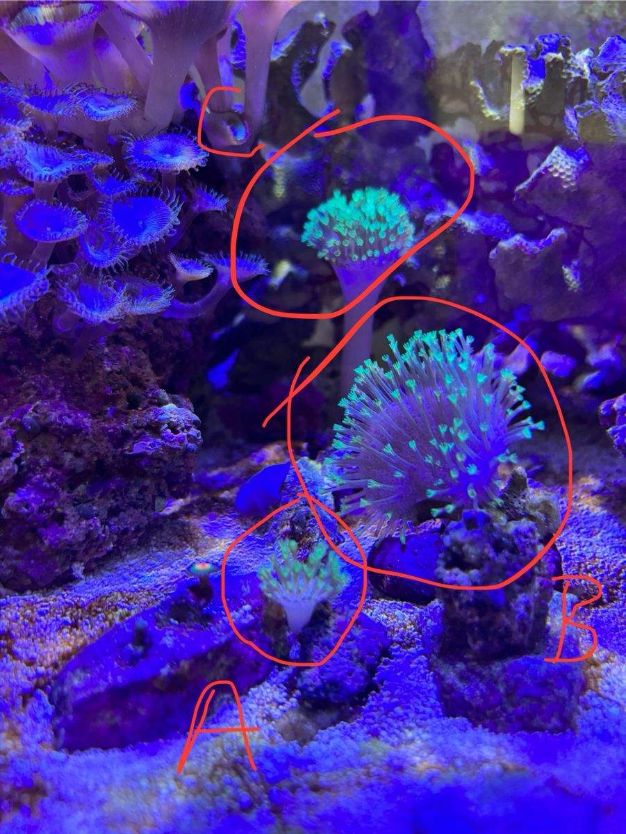 Main image 2