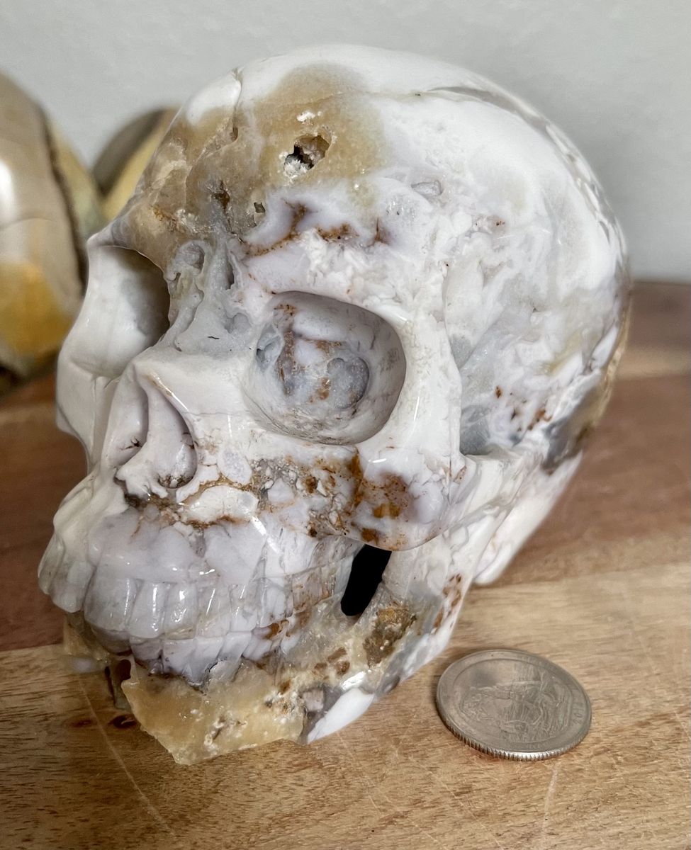 NEW Crystal 5" Skeleton SKULL Natural Druzy Flower Agate Stone Home Decor Decoration Figurine Statue Collectible