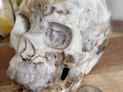 NEW Crystal 5" Skeleton SKULL Natural Druzy Flower Agate Stone Home Decor Decoration Figurine Statue Collectible