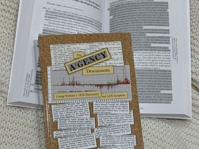 The Agency Discussions