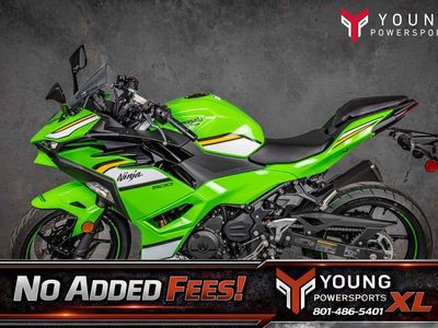 2025 Kawasaki Ninja® 500 KRT Edition