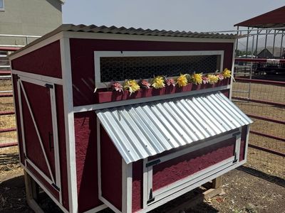 Red & White Backyard Chicken Coop - Well-Maintained & Ready for Chickens