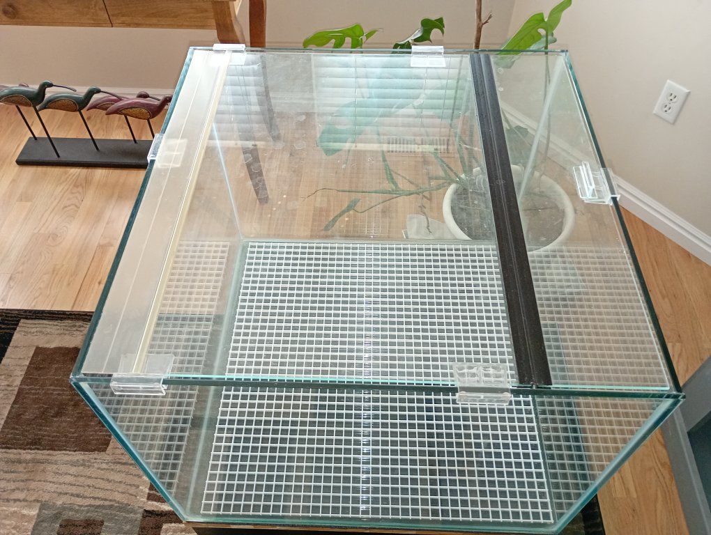 Main image 2
