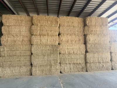 Wheat straw for sale