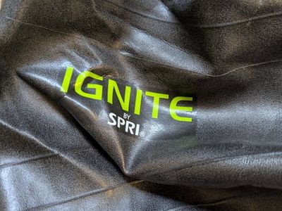 Ignite by SPRI Exercise Ball with Pump, Black