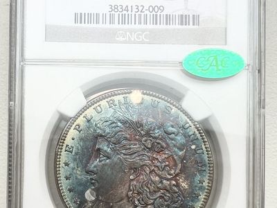 1886 P Morgan Dollar MS64 Toned NGC & CAC