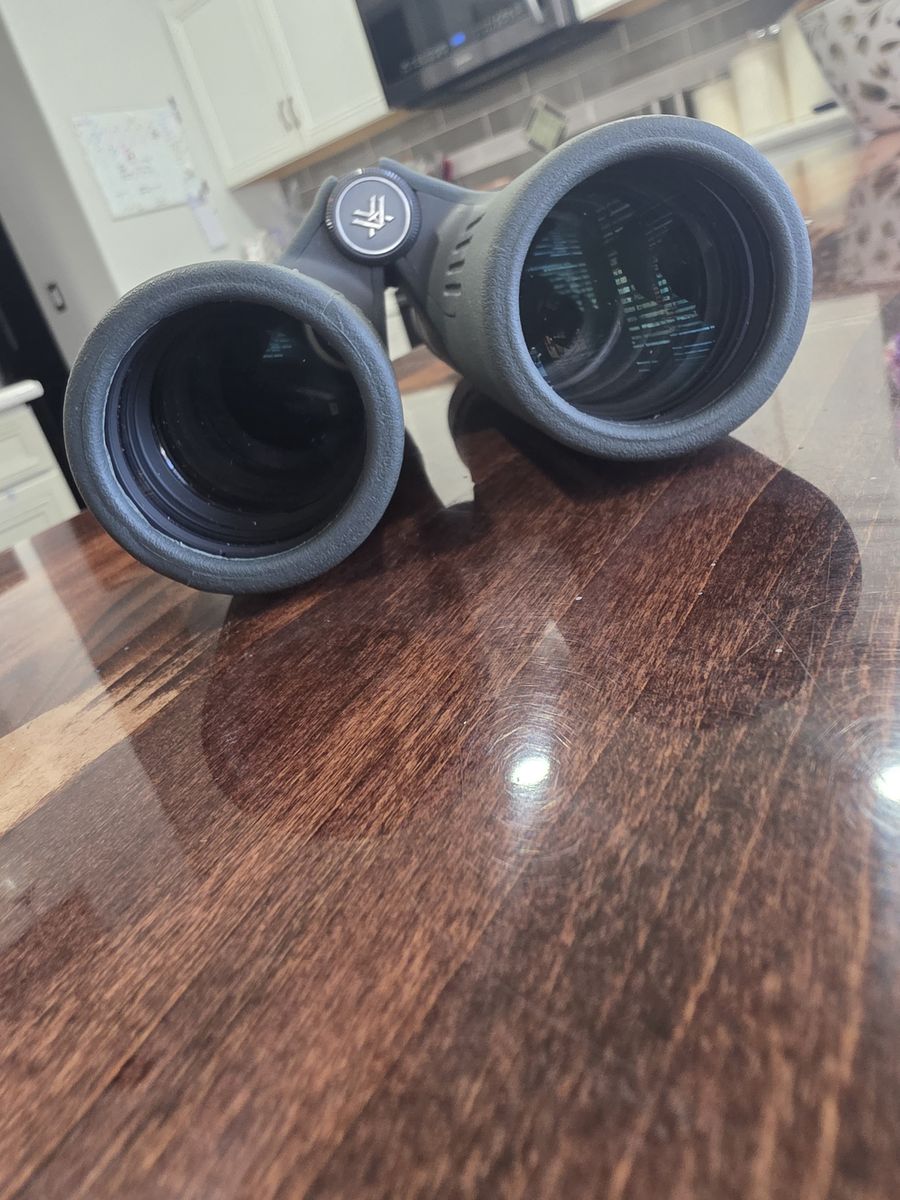 Vortex Razor UHD 10×42 binos