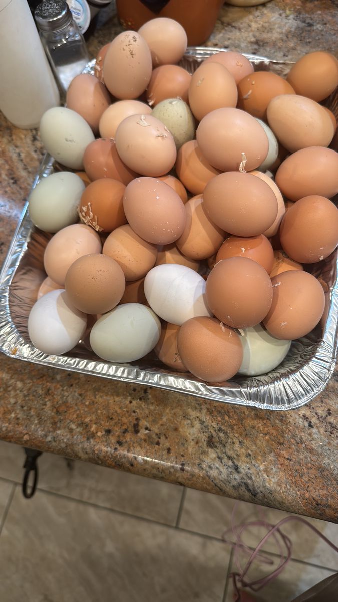 Fresh Eggs