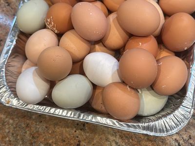 Fresh Eggs
