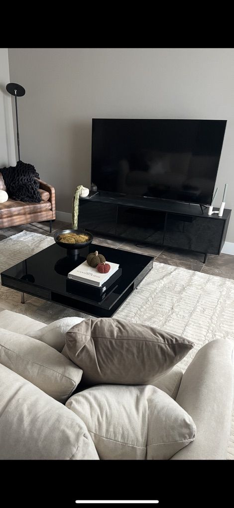 TV Stand and Coffee Table