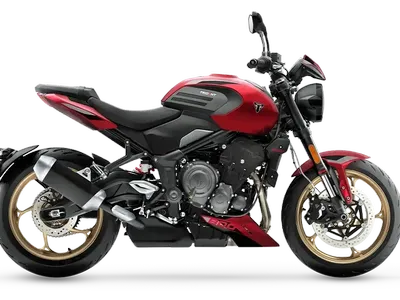 2026 Triumph Trident 800