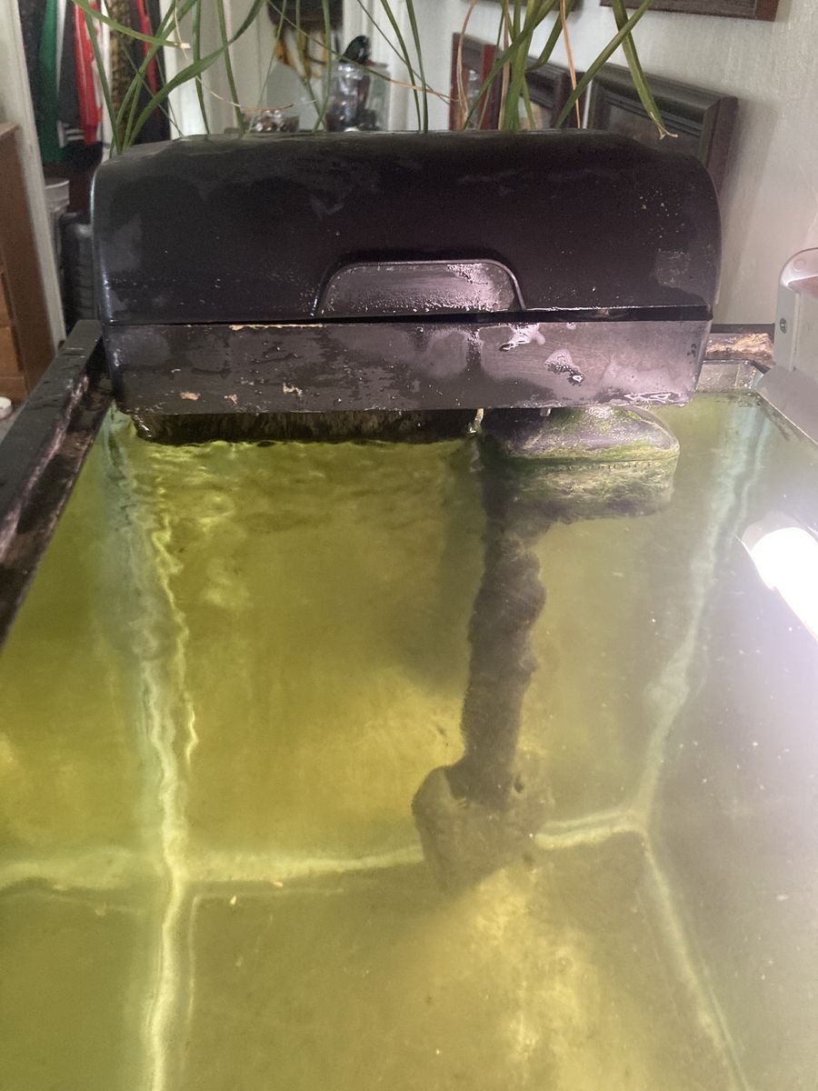 Main image 3