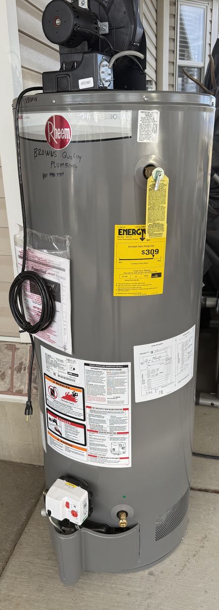 Rheem Professional 50 Gallon Water Heater