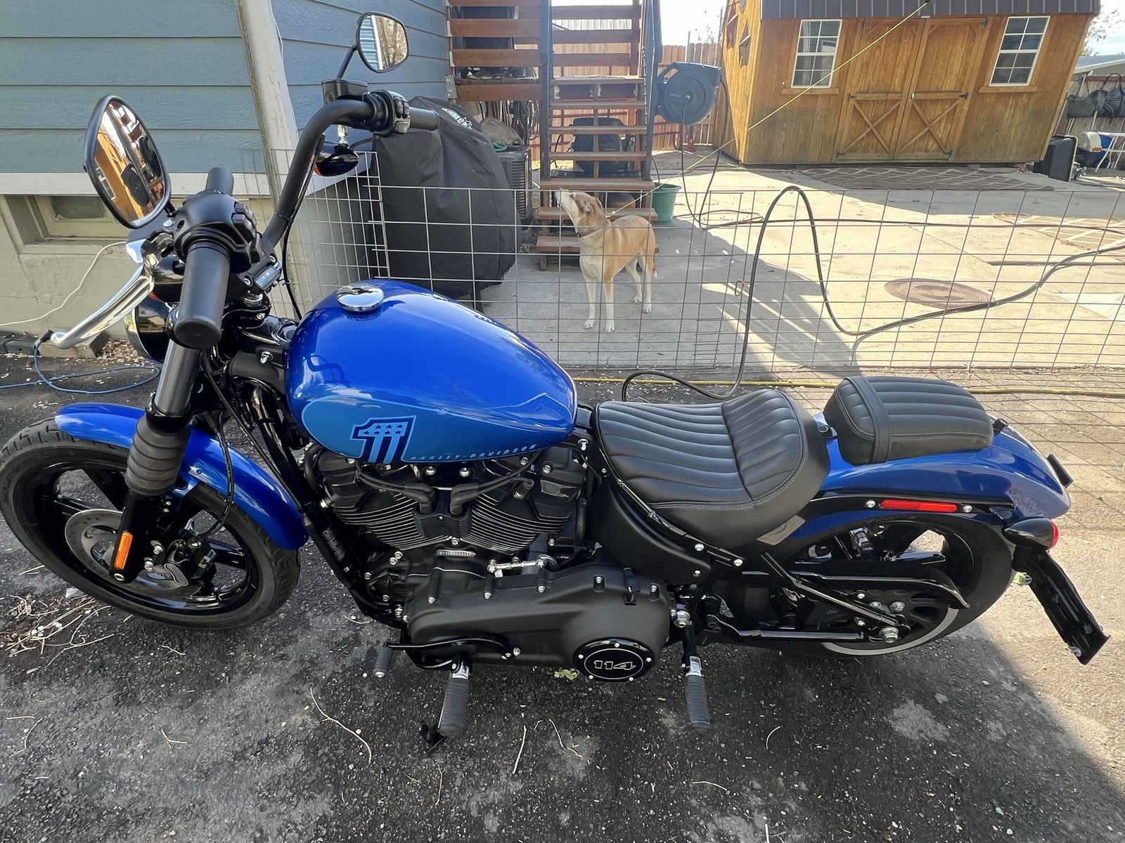 2024 Harley Davidson Street Bob