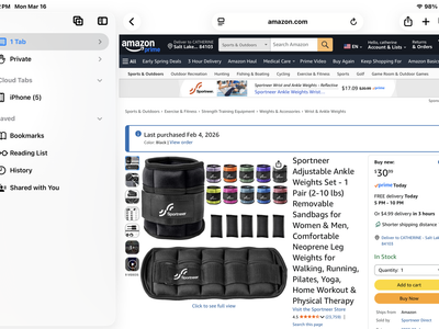 Pair of ankle weights