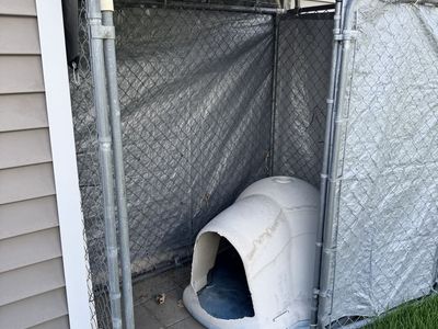 Dog Kennel 6x4 includes dogloo- Free