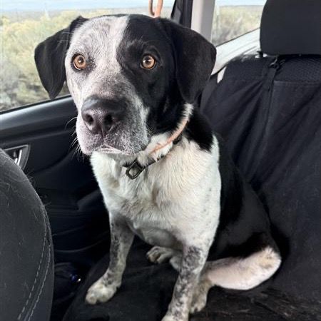 Hello my name is Raef