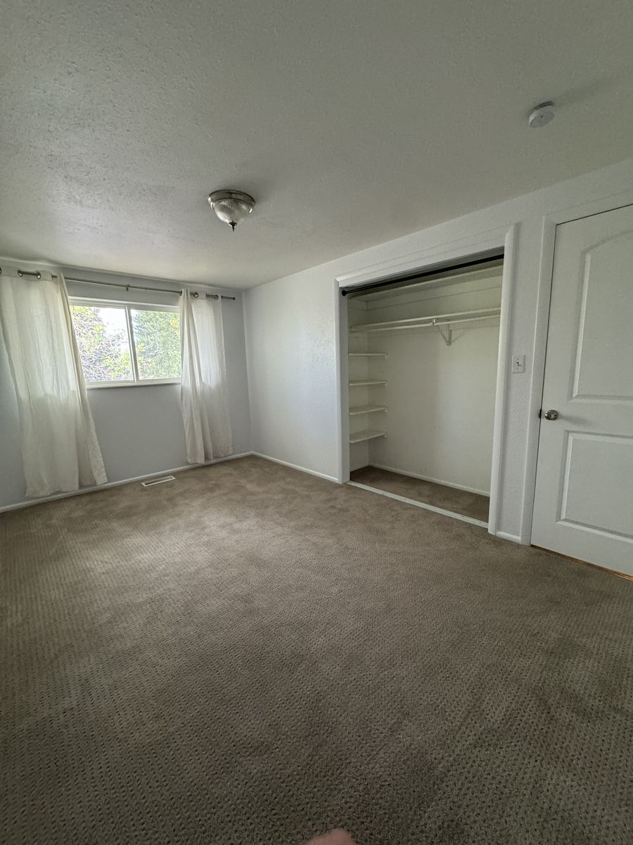 Main image 19