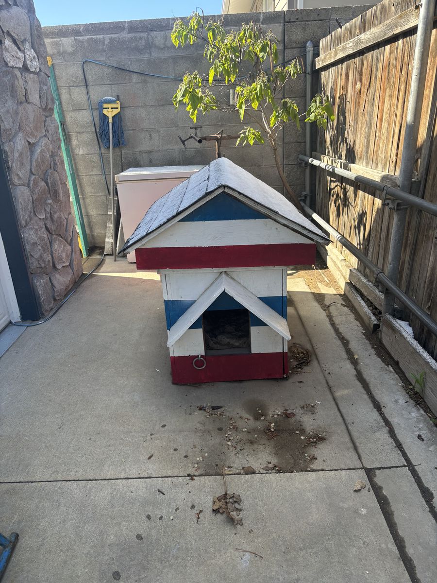 Dog House