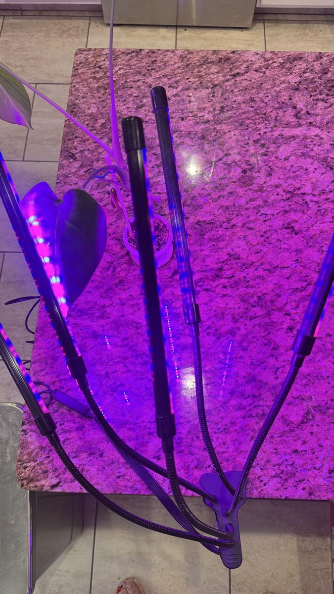 Grow Lights For Indoor Plants