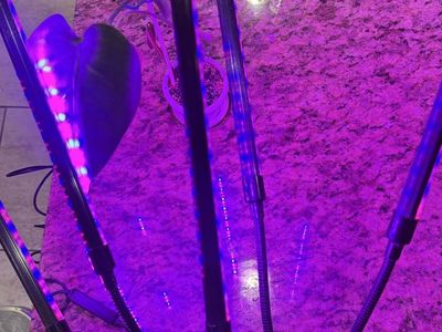 Grow Lights For Indoor Plants