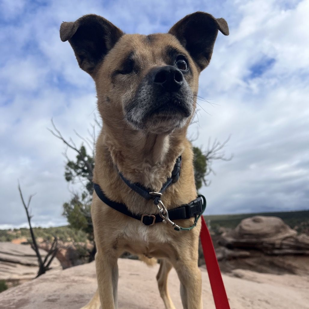 Hello my name is LuLu