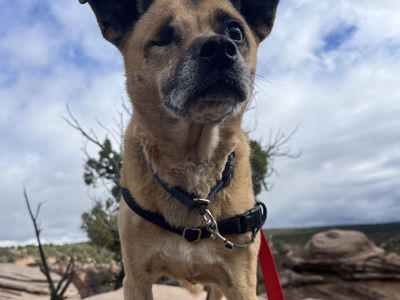 Hello my name is LuLu