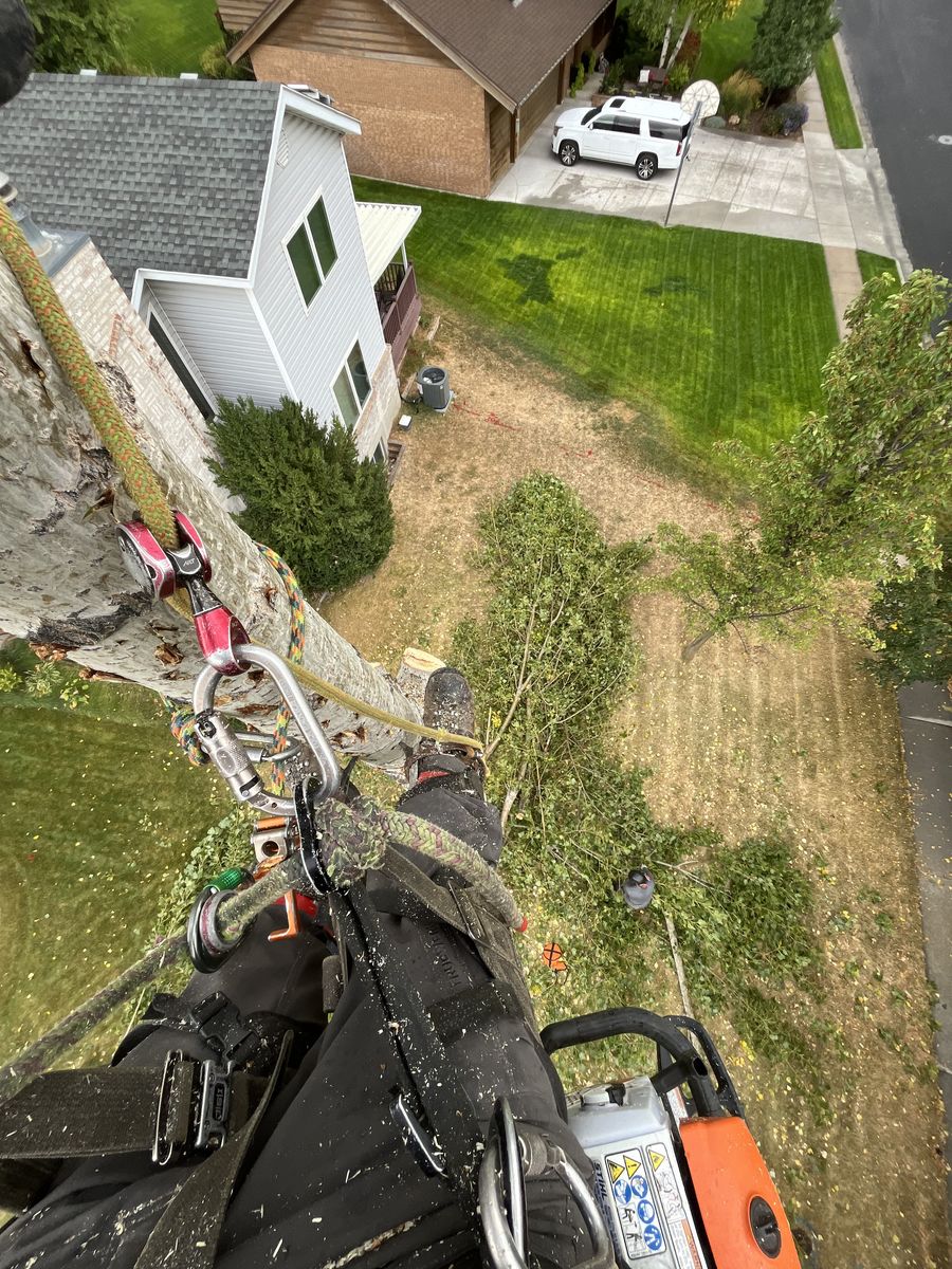 Main image 4