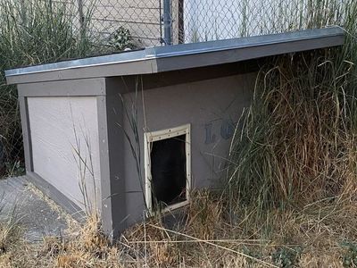 Large insulated dog house